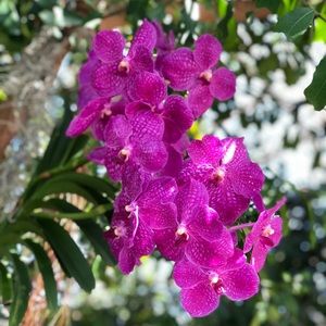 Meet your Posher, Katrina